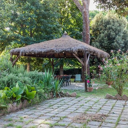 Agriturismo Artisti Del Cavallo Arezzo Bagian luar foto